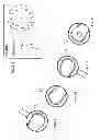 Fig. 19 - BASEBALL PITCHING TRAINING DEVICE