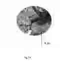 Fig. 05 - Portable Support Structure for a Net to Use in Multi-Sports or Games