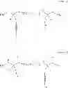 Fig. 33 - Peptidomimetic macrocycles