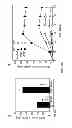 Fig. 06 - Compounds and methods of modulating angiogenesis