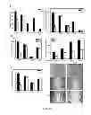 Fig. 07 - Compounds and methods of modulating angiogenesis