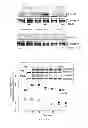 Fig. 08 - Compounds and methods of modulating angiogenesis