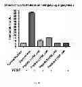 Fig. 22 - Compounds and methods of modulating angiogenesis