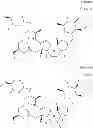 Fig. 02 - Ectoparasiticidal methods and formulations