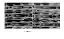 Fig. 07 - Compositions and methods for inhibiting adhesion formation