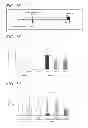 Fig. 09 - METHOD FOR PREVENTING BRAIN ATROPHY