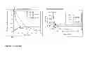 Fig. 02 - MACROCYCLIC PRODRUG COMPOUNDS USEFUL AS THERAPEUTICS
