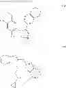 Fig. 08 - MACROCYCLIC PRODRUG COMPOUNDS USEFUL AS THERAPEUTICS
