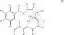 Fig. 22 - MACROCYCLIC PRODRUG COMPOUNDS USEFUL AS THERAPEUTICS