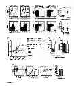 Fig. 07 - Methods of treating autophagy-associated disorders and related pharmaceutical compositions, diagnostics, screening techniques and kits
