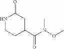 Fig. 77 - Hydroxy substituted isoquinolinone derivatives