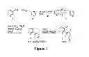 Fig. 02 - Benzoxepin PI3K inhibitor compounds and methods of use