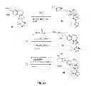 Fig. 07 - Benzoxepin PI3K inhibitor compounds and methods of use