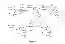 Fig. 09 - Benzoxepin PI3K inhibitor compounds and methods of use
