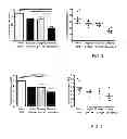 Fig. 03 - Substituted aromatic oligomers