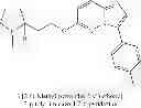 Fig. 136 - OXO-SUBSTITUTED IMIDAZO[1,2B]PYRIDAZINES, THEIR PREPARATION AND USE AS PHARMACEUTICALS