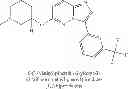Fig. 239 - OXO-SUBSTITUTED IMIDAZO[1,2B]PYRIDAZINES, THEIR PREPARATION AND USE AS PHARMACEUTICALS