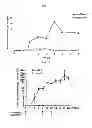Fig. 02 - INDUCTION OF IMMUNE TOLERANCE BY USING METHOTREXATE
