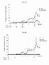 Fig. 05 - INDUCTION OF IMMUNE TOLERANCE BY USING METHOTREXATE