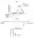 Fig. 09 - INDUCTION OF IMMUNE TOLERANCE BY USING METHOTREXATE
