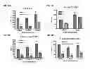 Fig. 10 - INDUCTION OF IMMUNE TOLERANCE BY USING METHOTREXATE