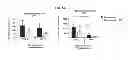 Fig. 16 - INDUCTION OF IMMUNE TOLERANCE BY USING METHOTREXATE