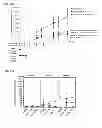 Fig. 17 - INDUCTION OF IMMUNE TOLERANCE BY USING METHOTREXATE