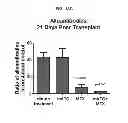 Fig. 22 - INDUCTION OF IMMUNE TOLERANCE BY USING METHOTREXATE