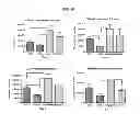 Fig. 24 - INDUCTION OF IMMUNE TOLERANCE BY USING METHOTREXATE