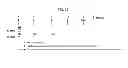 Fig. 27 - INDUCTION OF IMMUNE TOLERANCE BY USING METHOTREXATE