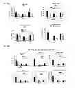Fig. 29 - INDUCTION OF IMMUNE TOLERANCE BY USING METHOTREXATE