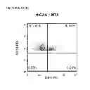 Fig. 48 - INDUCTION OF IMMUNE TOLERANCE BY USING METHOTREXATE