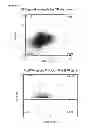 Fig. 52 - INDUCTION OF IMMUNE TOLERANCE BY USING METHOTREXATE