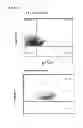 Fig. 58 - INDUCTION OF IMMUNE TOLERANCE BY USING METHOTREXATE