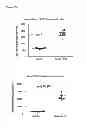 Fig. 66 - INDUCTION OF IMMUNE TOLERANCE BY USING METHOTREXATE