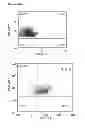 Fig. 70 - INDUCTION OF IMMUNE TOLERANCE BY USING METHOTREXATE