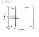 Fig. 71 - INDUCTION OF IMMUNE TOLERANCE BY USING METHOTREXATE
