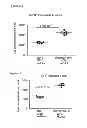 Fig. 77 - INDUCTION OF IMMUNE TOLERANCE BY USING METHOTREXATE