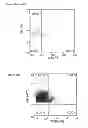 Fig. 89 - INDUCTION OF IMMUNE TOLERANCE BY USING METHOTREXATE