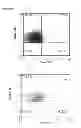 Fig. 91 - INDUCTION OF IMMUNE TOLERANCE BY USING METHOTREXATE