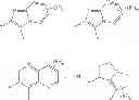 Fig. 07 - Macrocyclic derivatives for the treatment of diseases