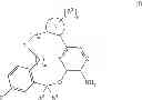 Fig. 10 - Macrocyclic derivatives for the treatment of diseases