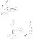 Fig. 101 - Macrocyclic derivatives for the treatment of diseases