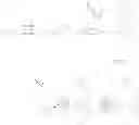 Fig. 104 - Macrocyclic derivatives for the treatment of diseases