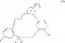Fig. 12 - Macrocyclic derivatives for the treatment of diseases