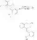 Fig. 124 - Macrocyclic derivatives for the treatment of diseases