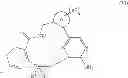 Fig. 15 - Macrocyclic derivatives for the treatment of diseases