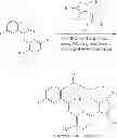 Fig. 152 - Macrocyclic derivatives for the treatment of diseases