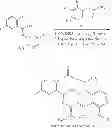 Fig. 153 - Macrocyclic derivatives for the treatment of diseases