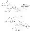 Fig. 156 - Macrocyclic derivatives for the treatment of diseases